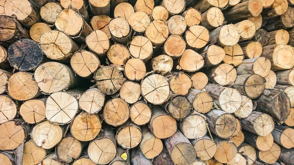 Dry Firewood Pile Furnace Kindling — Stock Photo, Image