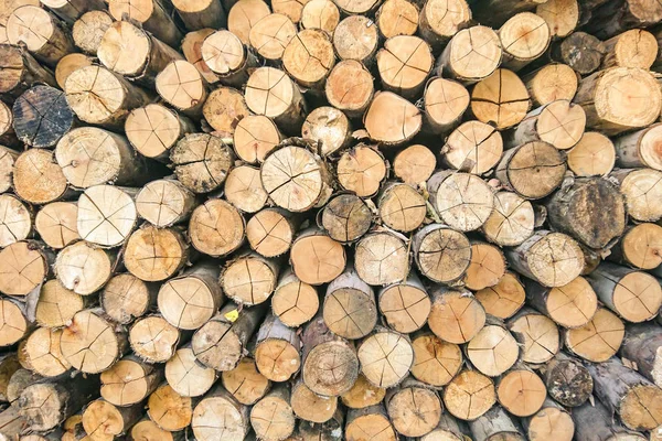 Dry firewood in a pile — Stock Photo, Image