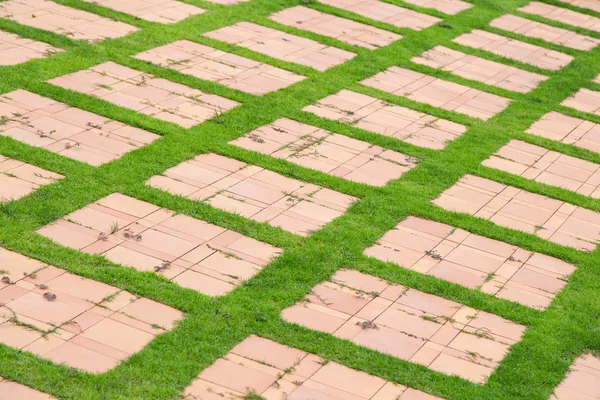Pasarela de hierba verde y piedra —  Fotos de Stock