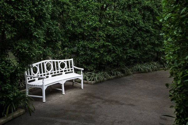 White bench with bush — Stockfoto