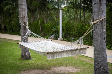 Bahçedeki hamak