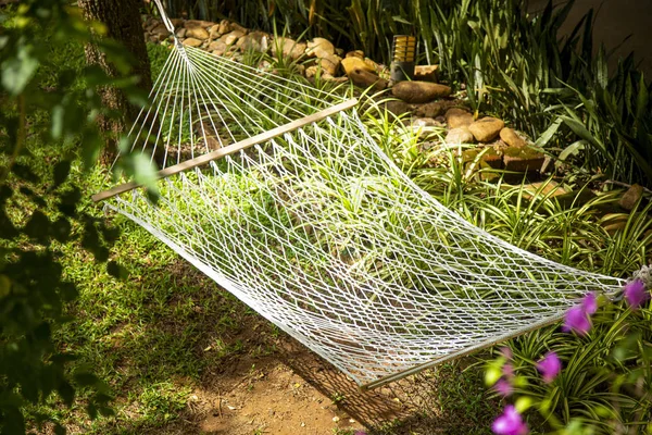 Hammock hanging with trees — Stock Photo, Image