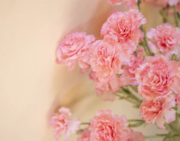 Bouquet de fleurs oeillets roses artificiels — Photo