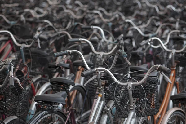 Molte biciclette parcheggiare nel negozio di noleggio — Foto Stock