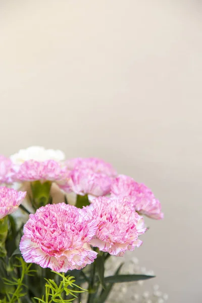 Рожеві гвоздики квіти букет і фон стіни — стокове фото