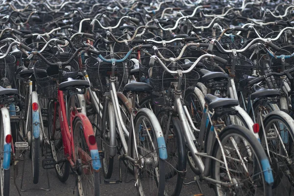 Många cyklar parkerar i hyra shoppar — Stockfoto