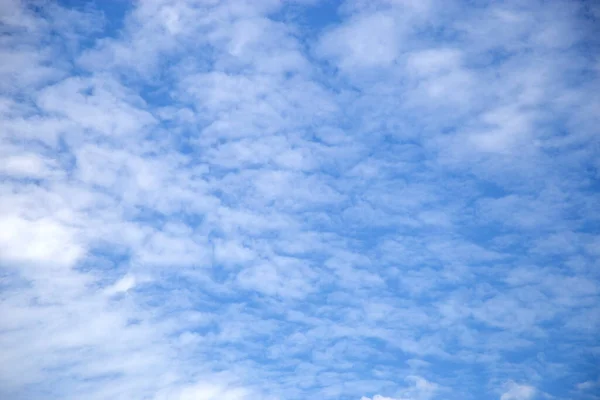 青い空を背景に白い雲を見る — ストック写真