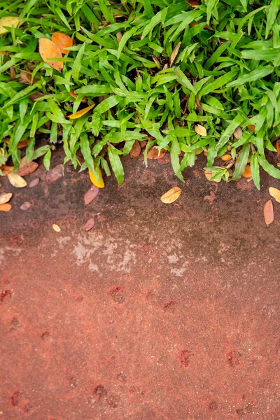 Background Stone Footpath Green Grass — Stock Photo, Image