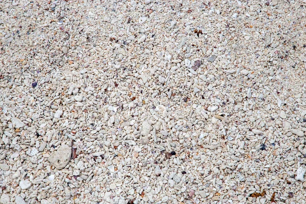 Hintergrund Von Muscheln Felsen Und Korallen Strand — Stockfoto