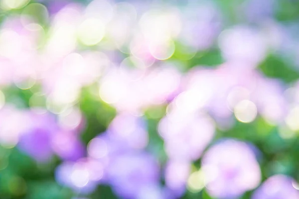 自然与绿色和紫色的抽象模糊 — 图库照片