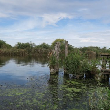 Yalnız yakınındaki loitz, mecklenburg-western pomerania Almanya yaz aylarında nehir peene kumsalda