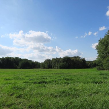 Yalnız yatay, tabii ki, mecklenburg-western pomerania, loitz, demmin