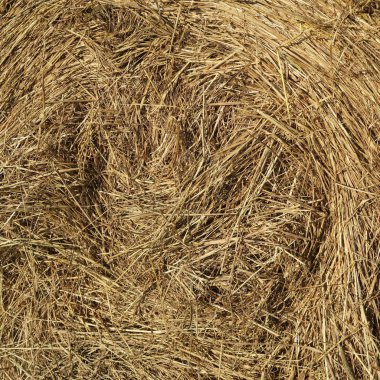 tam kare kuru saman arka plan