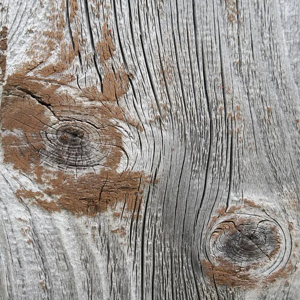 Ściana Wyblakły Starych Desek Drewna Kolorze Naturalnym — Zdjęcie stockowe