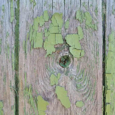 ilginç yapısı ile eski ahşap duvarlar dokusuna