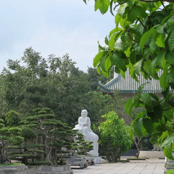 2019年3月 ベトナム中部にある ソンチャ半島 にある Ung パゴダ にある美しい盆栽の木 巧みな人物 — ストック写真