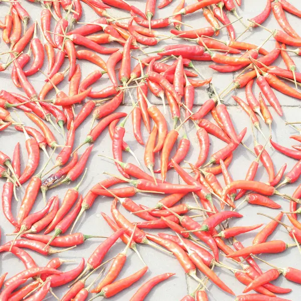 Щоб висушити на сонці на кошику, червоний перець чилі в Азії — стокове фото