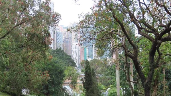 Kunst Und Hochhuser Der Hongkong Park Hongkong Eine Grne Oase — Photo