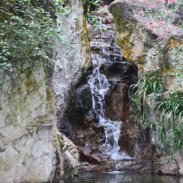 自然の中で美しい静かな滝の風光明媚なショット — ストック写真