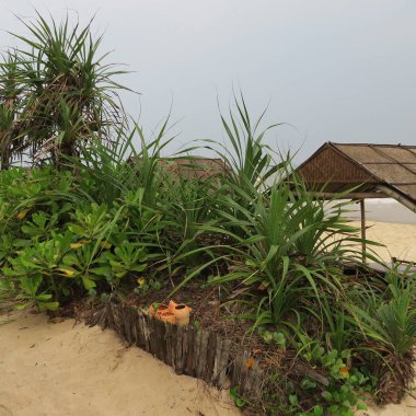 bulutlu gökyüzü ile yalnız ıssız plajda mobilya