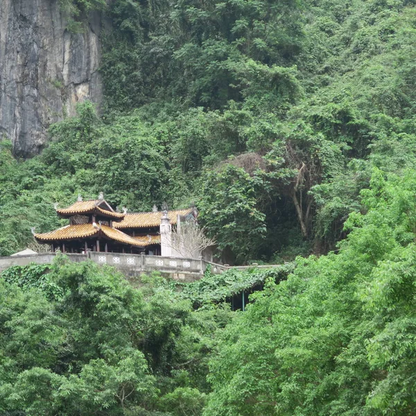 河绿树 景观在越南中部的蓬尼亚洞穴入口 — 图库照片