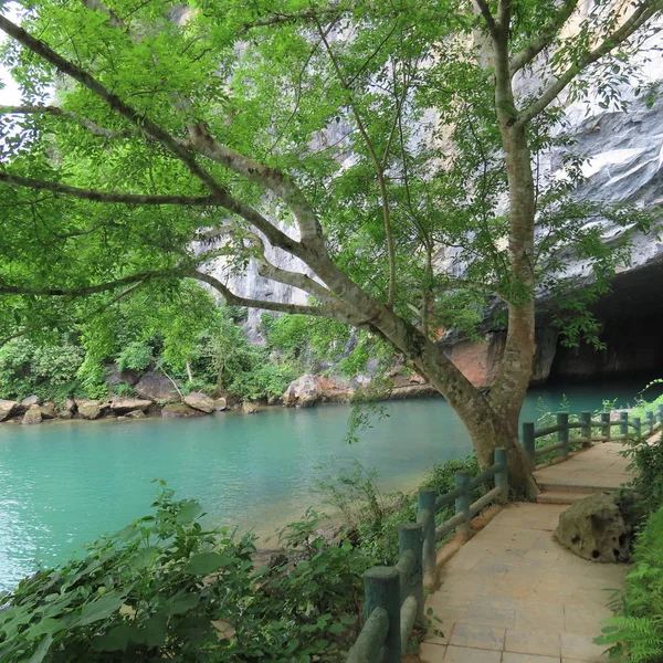 Naturaleza Agua Árboles Verdes Del Río Montañas Paisaje Entrada Cueva —  Fotos de Stock