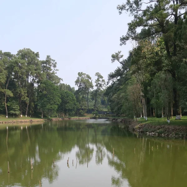 2019년 베트남 공원이 화려한 오래된 건물과 — 스톡 사진