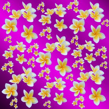 kopya alanı ile çiçek renkli desen, birçok küçük renkli top