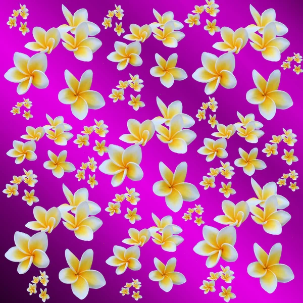 Kopya alanı ile çiçek renkli desen, birçok küçük renkli top — Stok fotoğraf