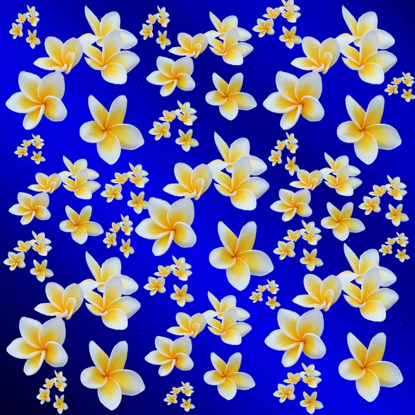 Blommig färgad mönster med kopia utrymme, många små färgglada bollen — Stockfoto