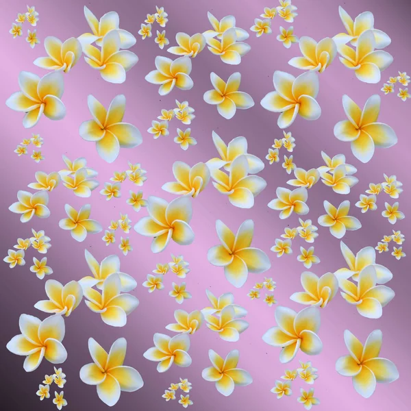 Patrón de color floral con espacio de copia, muchas pequeñas bolas de colores — Foto de Stock