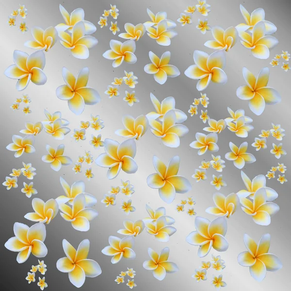 Patrón de color floral con espacio de copia, muchas pequeñas bolas de colores — Foto de Stock