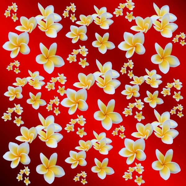 Blommig färgad mönster med kopia utrymme, många små färgglada bollen — Stockfoto