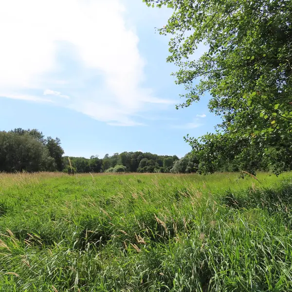 Sommerlandschaft in Norddeutschland, Felder, Wiesen, Bäume und — Stockfoto