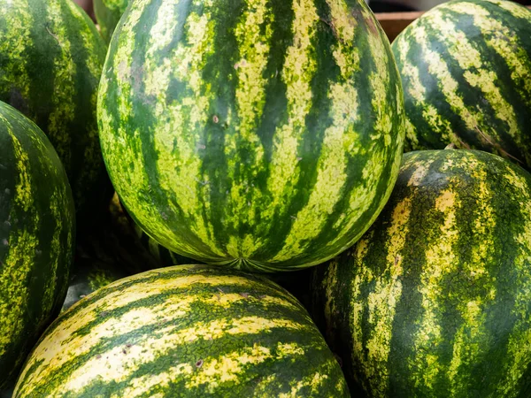 Bündel Großer Wassermelonen — Stockfoto