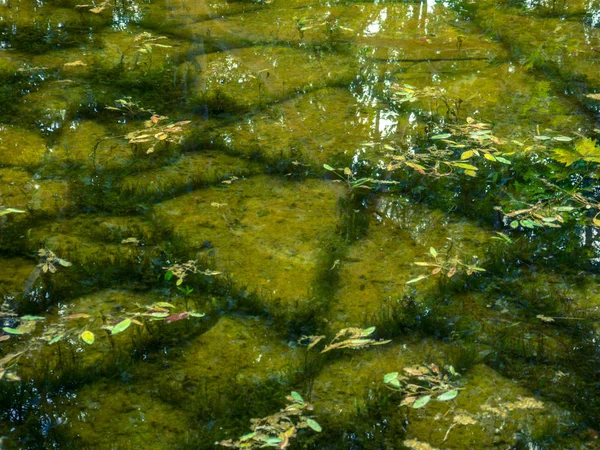 Clear small pond - stones and moss