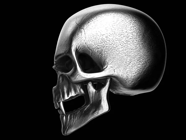 Viejo Cráneo Vampiro Plateado Vista Lateral — Foto de Stock