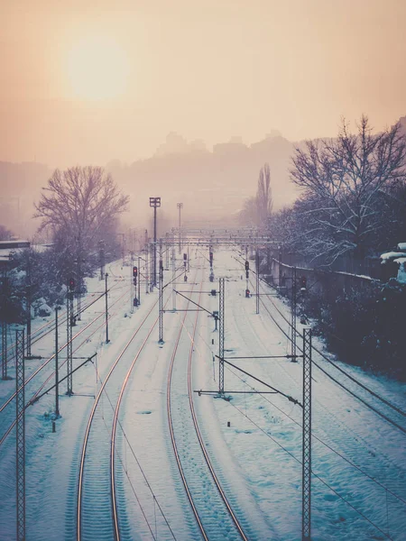 Nebliger Abend Über Den Leeren Bahngleisen Zur Winterzeit — Stockfoto
