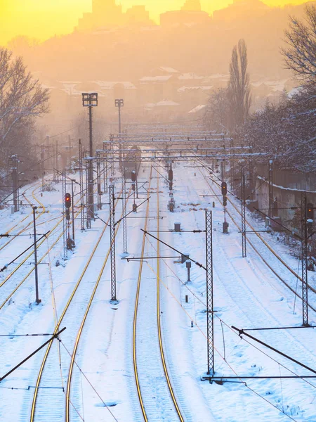Vlakové Nádraží Večerních Hodinách Sníh Zahrnuty — Stock fotografie