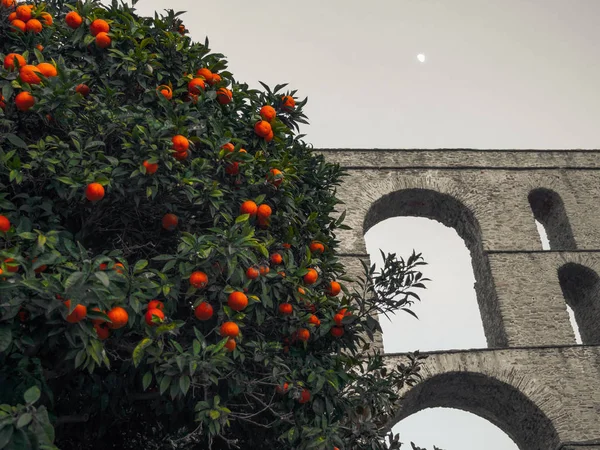 Oranžový Strom Před Starým Římským Akvaduktu Kavala Řecko — Stock fotografie
