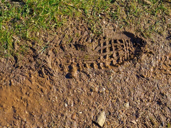 Footprint in the mud - grass and mud texture