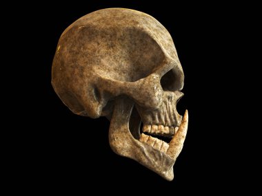Büyük alt dişleri ile Demon orc kafatası - yan görünüm
