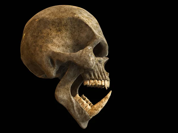 Skrikande Demon Orc Skull Med Stora Nedre Tänder Side View — Stockfoto