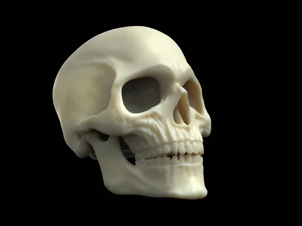 Skull Made Out Wax — Stock Photo, Image