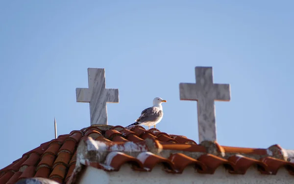 Чайка Даху Невеликої Церкви Стоїть Між Двома Хрестами — стокове фото