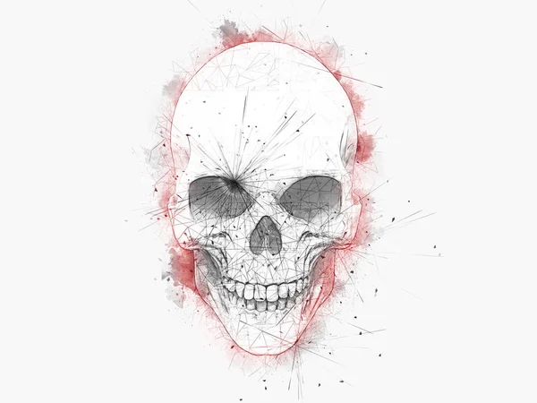 Desenho Minimalista Crânio Com Contornos Cor Água Vermelha Ilustração — Fotografia de Stock