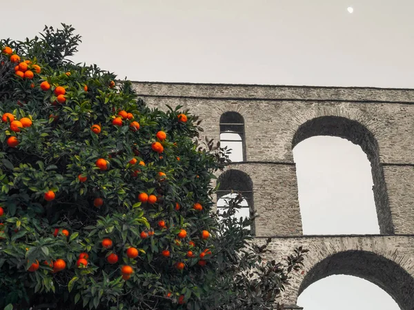 Oranžový Strom Před Starověkým Římským Akvaduktu — Stock fotografie