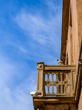 Eski terk edilmiş evin balkonunda duran güvercinler