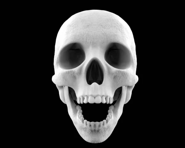 White Ancient Looking Skull Black Background — Stock Photo, Image