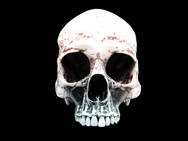 White Skull Cranium Isolated Black Background — Stock Photo, Image